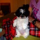 Mi pancita!